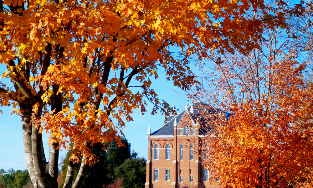 Business building on a college campus with a large tree with orange leaves in front of the building, STEAM scholarships, STEM scholarships, Marketing scholarship, college fund, college money, November scholarships, winter scholarships, fall scholarships, November scholarship opportunites
