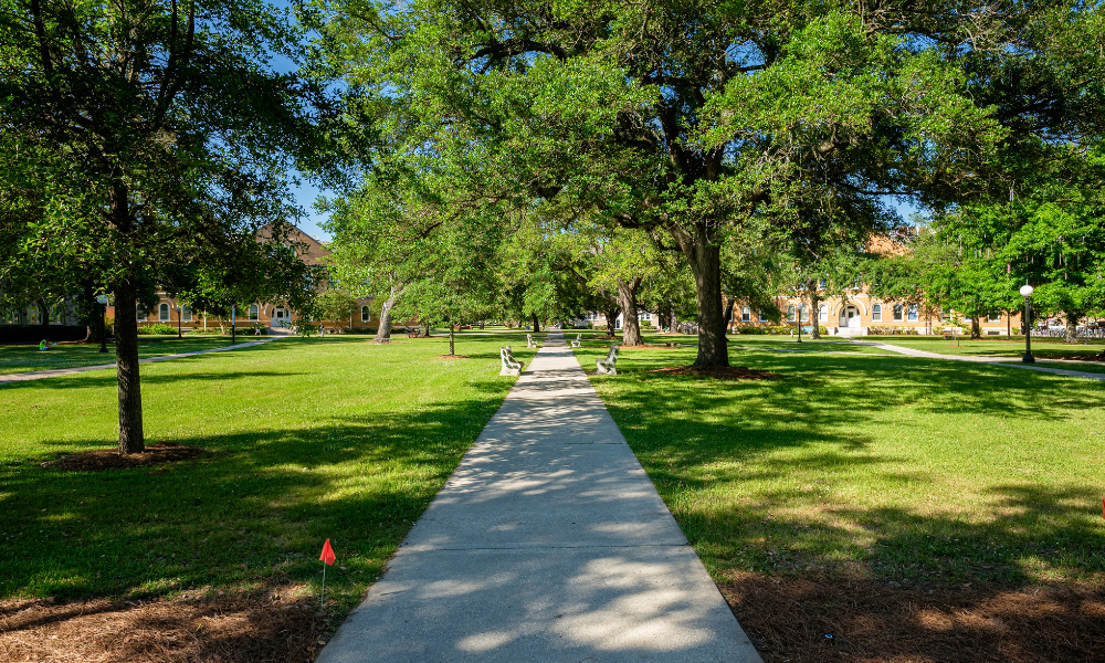During the fall high school seniors will be able to visit colleges for free if they applied to various fly-in programs during the late spring and summer. If accepted these seniors will be able to check out some of their dream colleges and the college will pay the transportation and lodging expenses